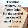 theadmsfmly